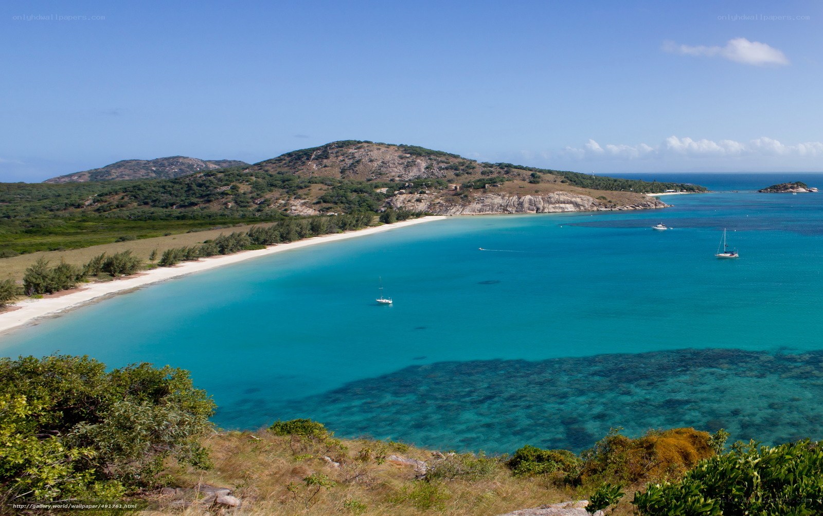 tropical bay with sailboats