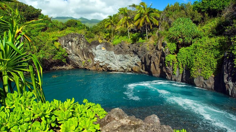 Tropical Bay with Turquoise Water — Blue, Serene