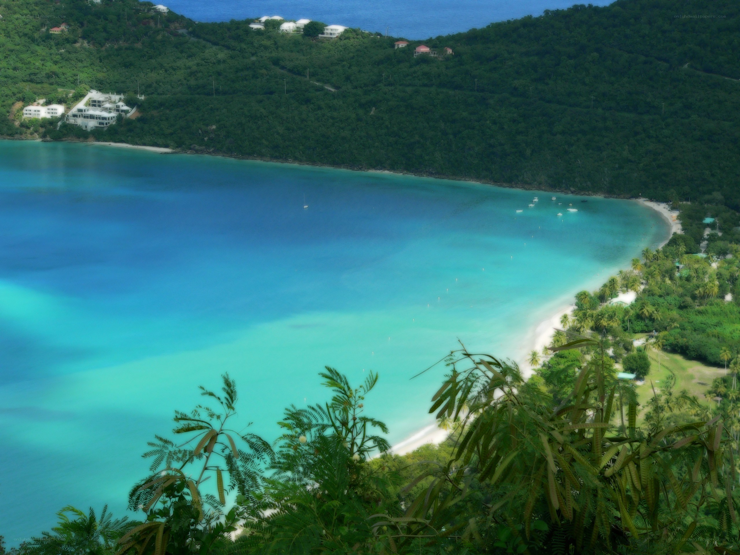 tropical bay with white sand beach
