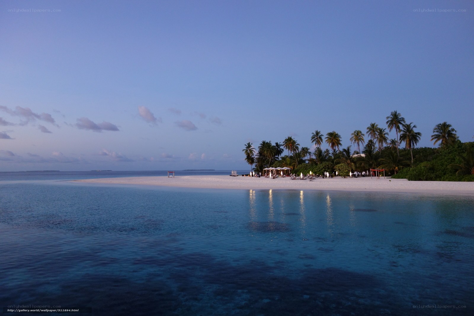 tropical beach at dusk
