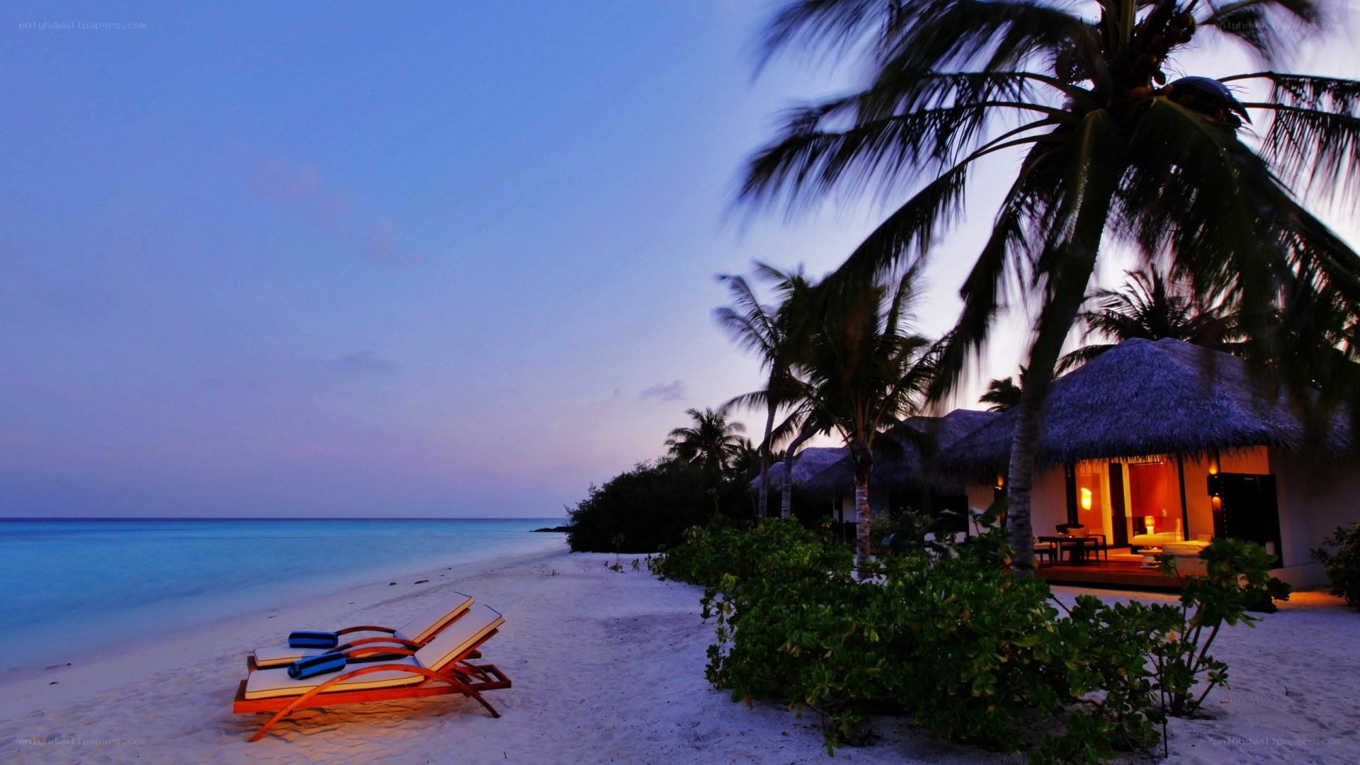 Tropical beach at dusk