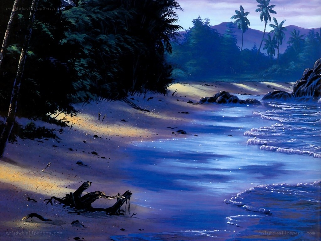 tropical beach at dusk