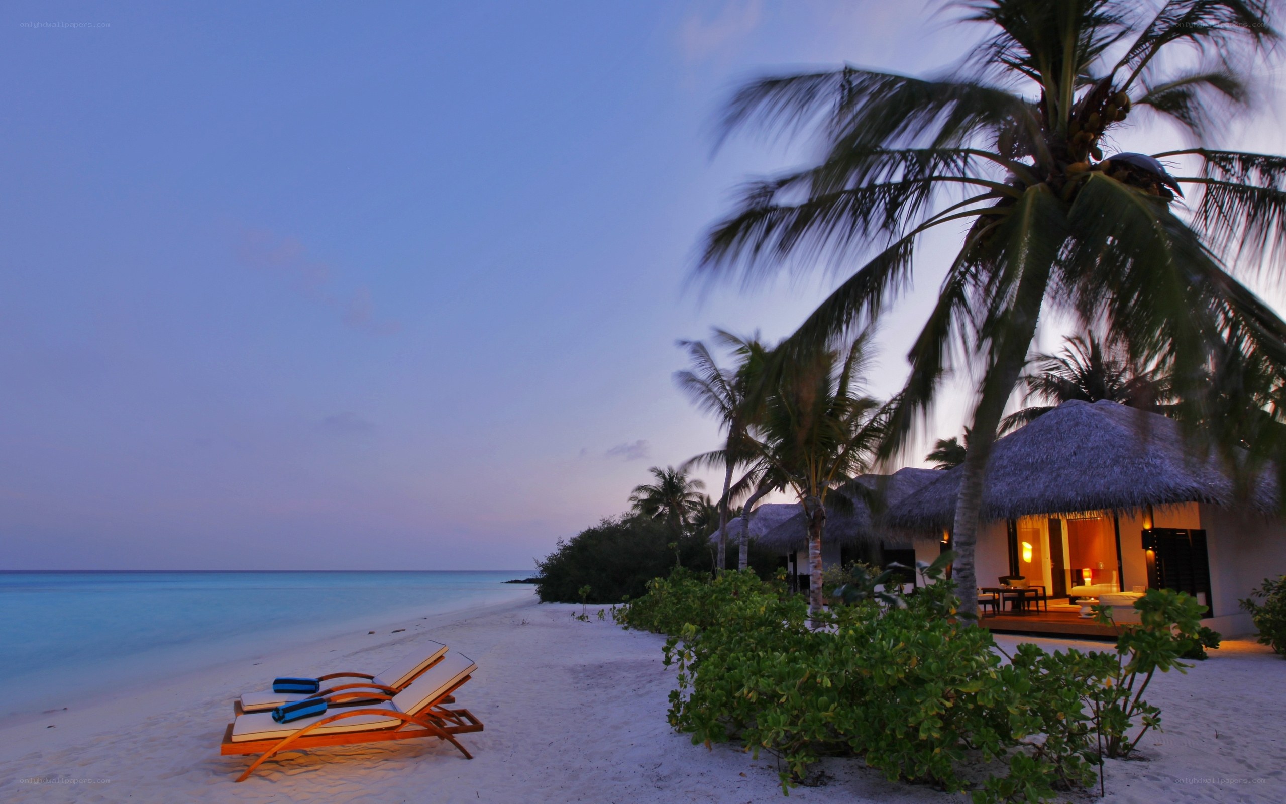 Tropical beach at dusk
