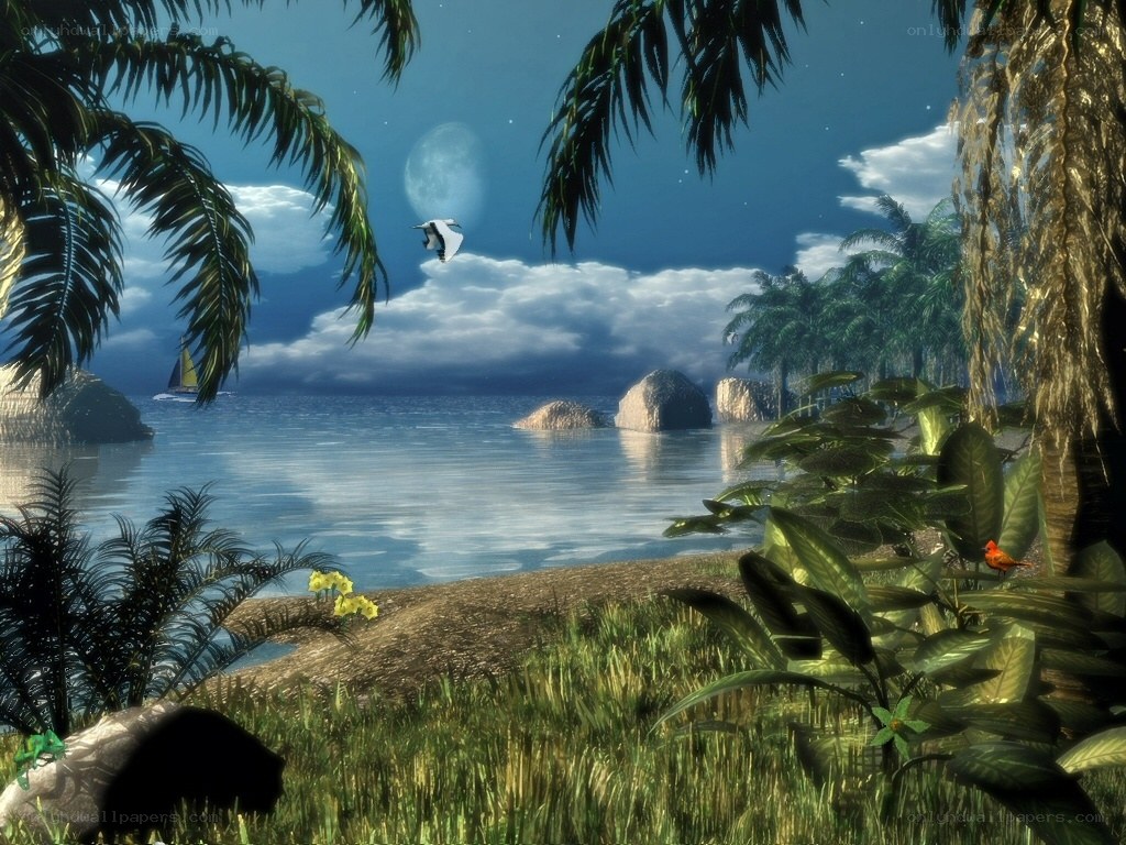 Tropical beach at night