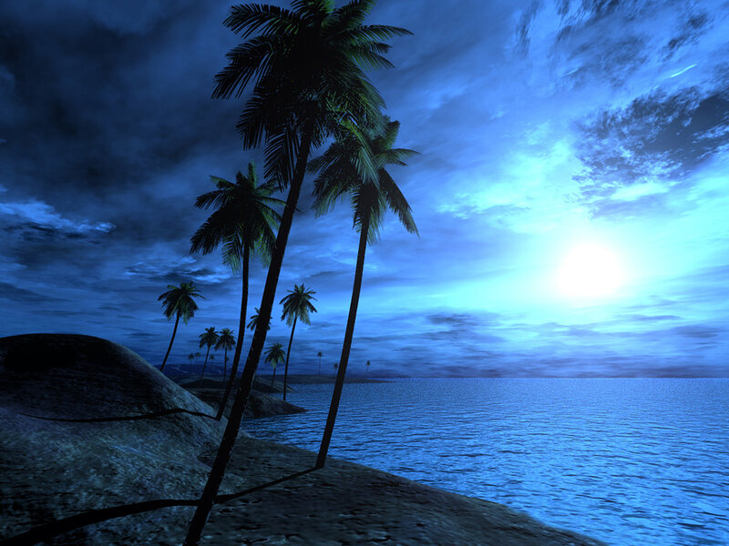 tropical beach at night