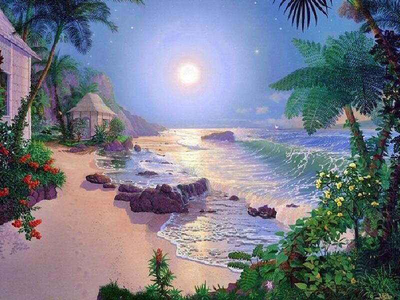 tropical beach at night