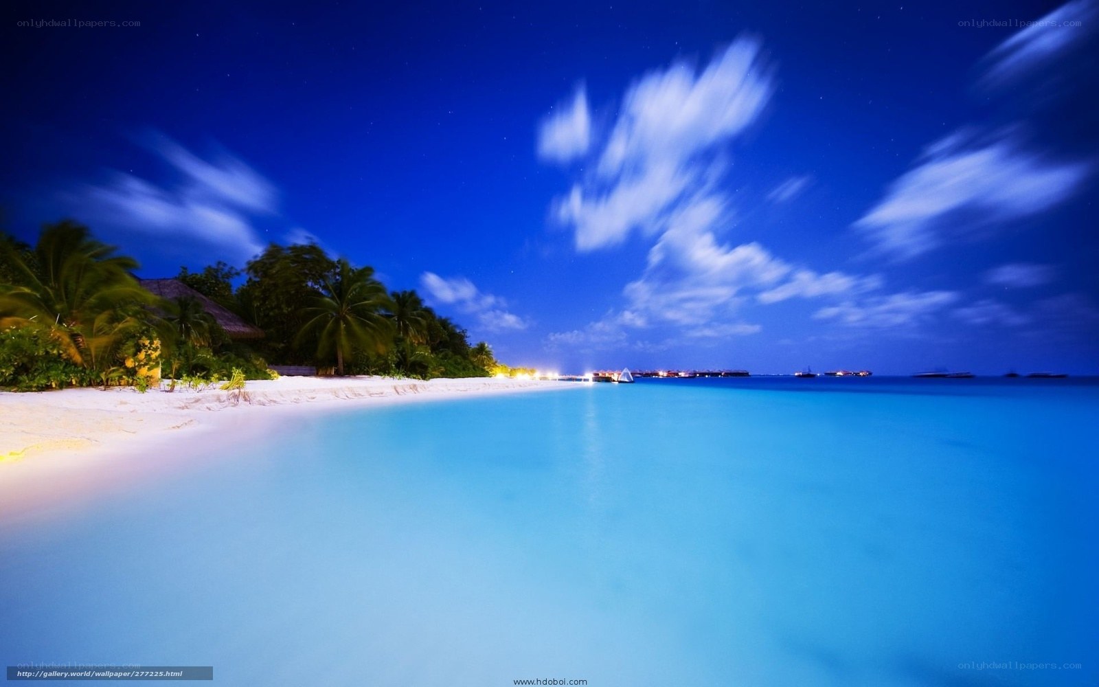 tropical beach at night