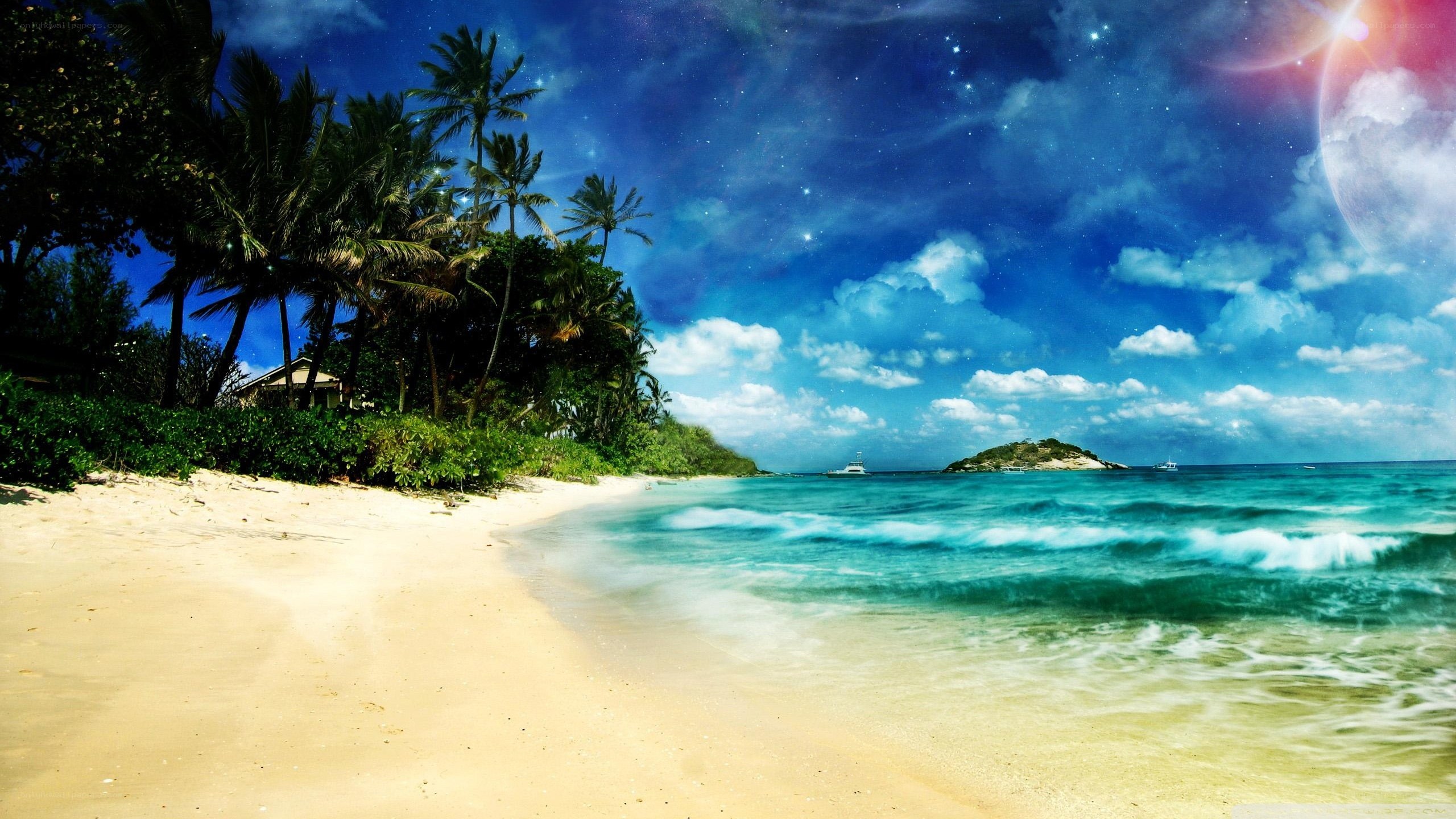 tropical beach at night
