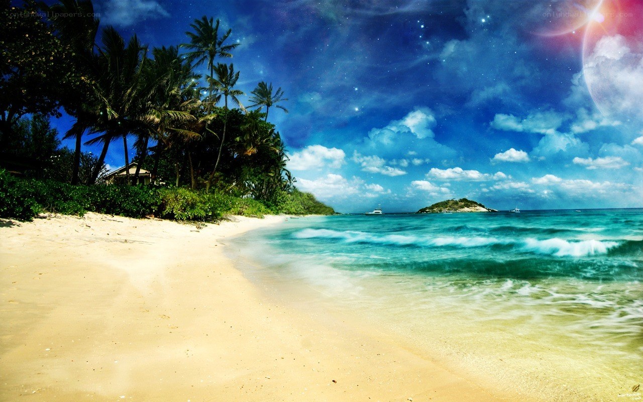 Tropical beach at night