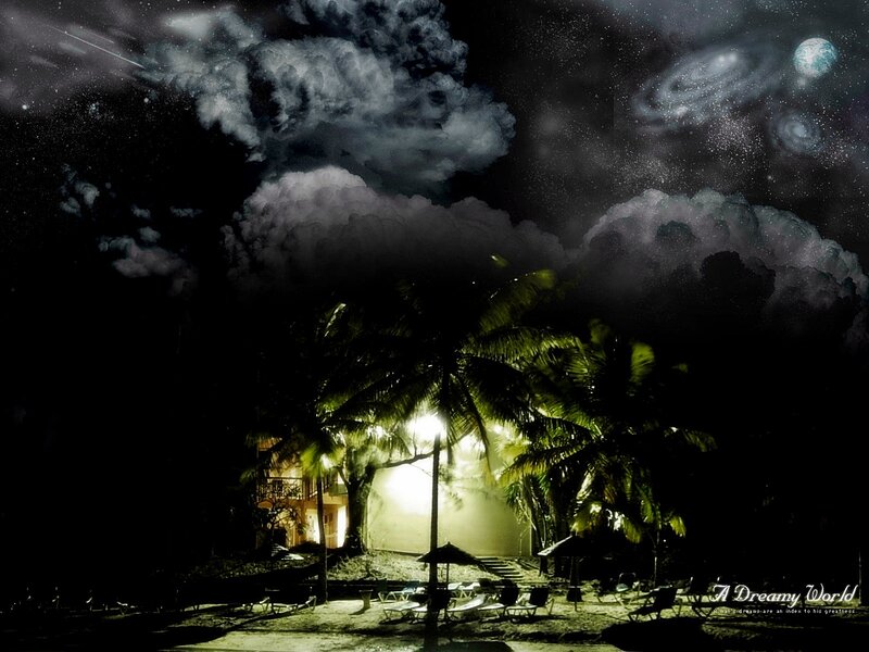 Tropical Beach at Night — Black, Dreamy, Digital Art, Palm Trees