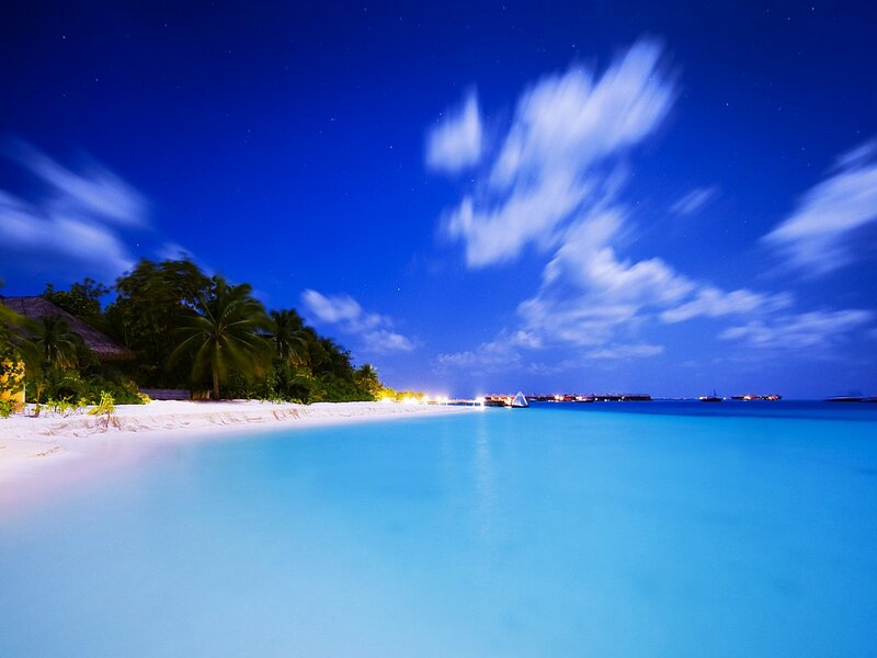 Tropical Beach at Night — Blue, Serene, Photograph, Palm Trees, Sand, Ocean, Clouds