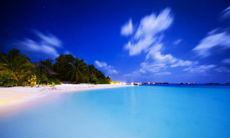 Tropical Beach at Night — Blue, Serene, Photograph, Palm Trees, Sand, Ocean