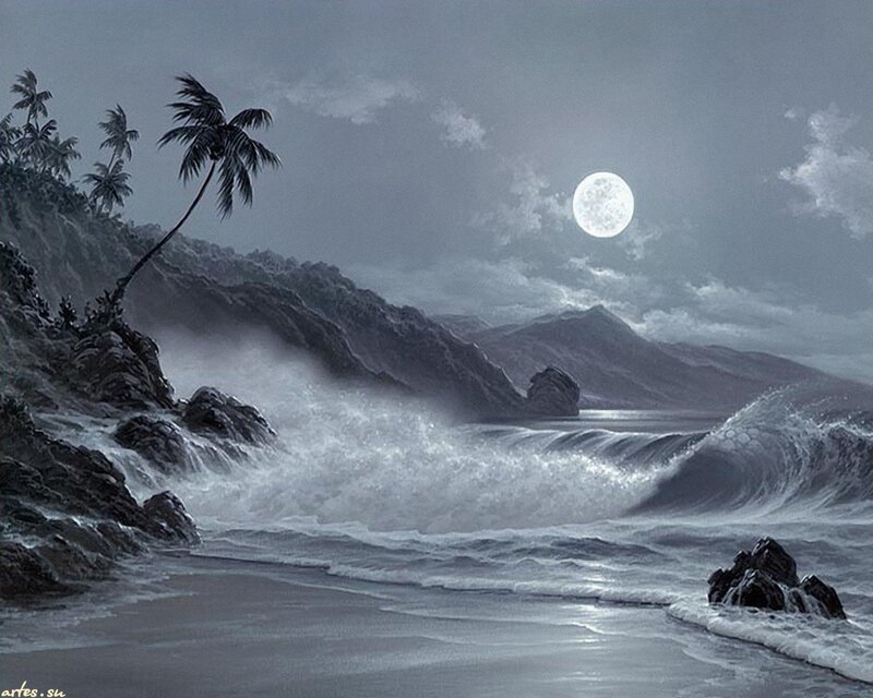 Tropical Beach at Night — Gray, Dramatic