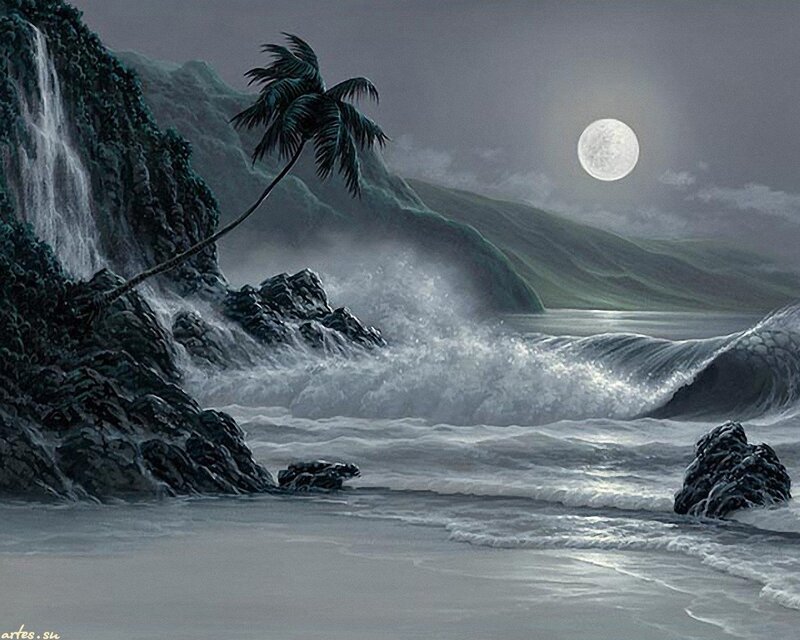 Tropical Beach at Night — Gray