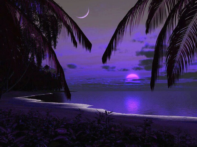 Tropical Beach at Night — Purple