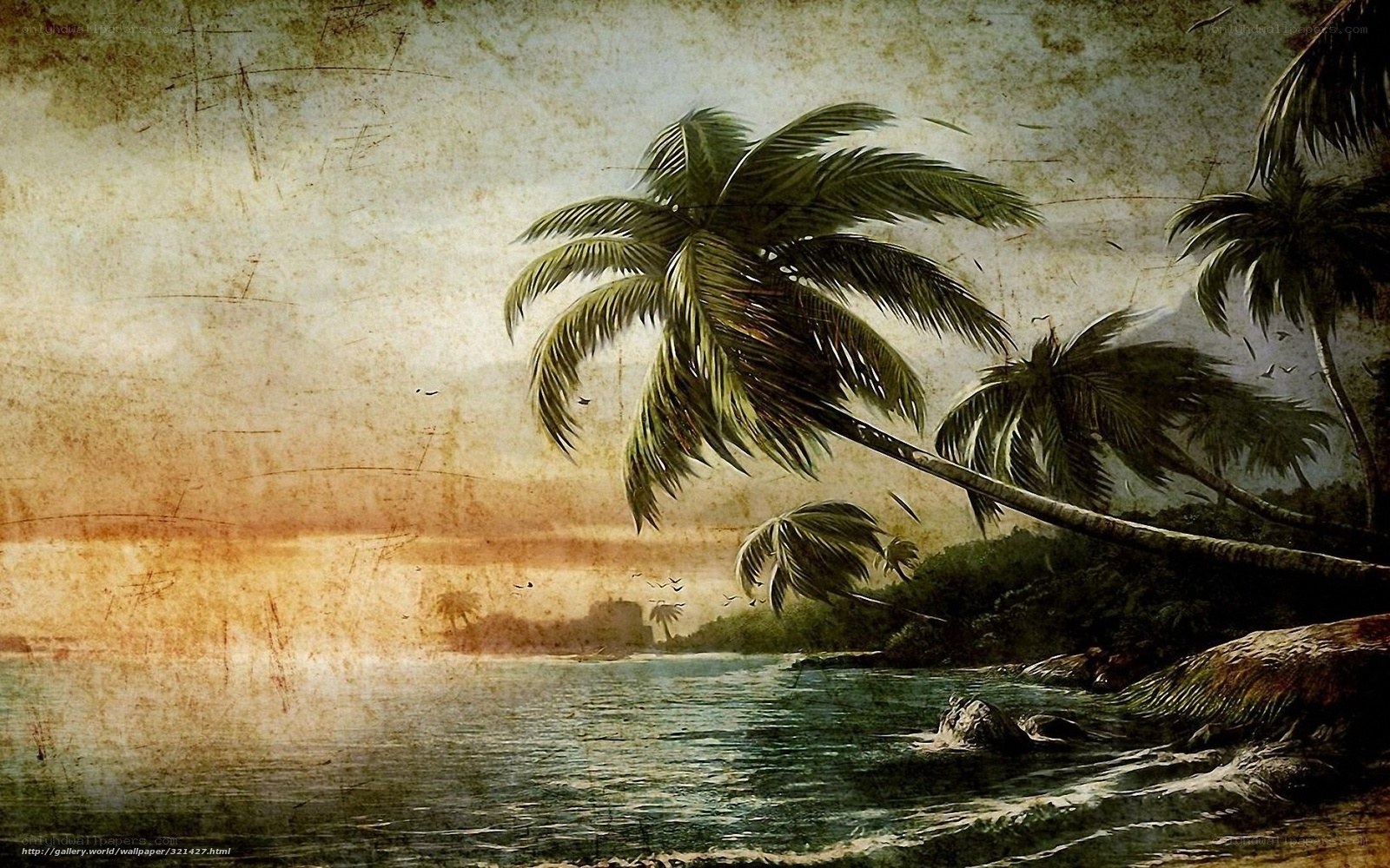tropical beach at sunset