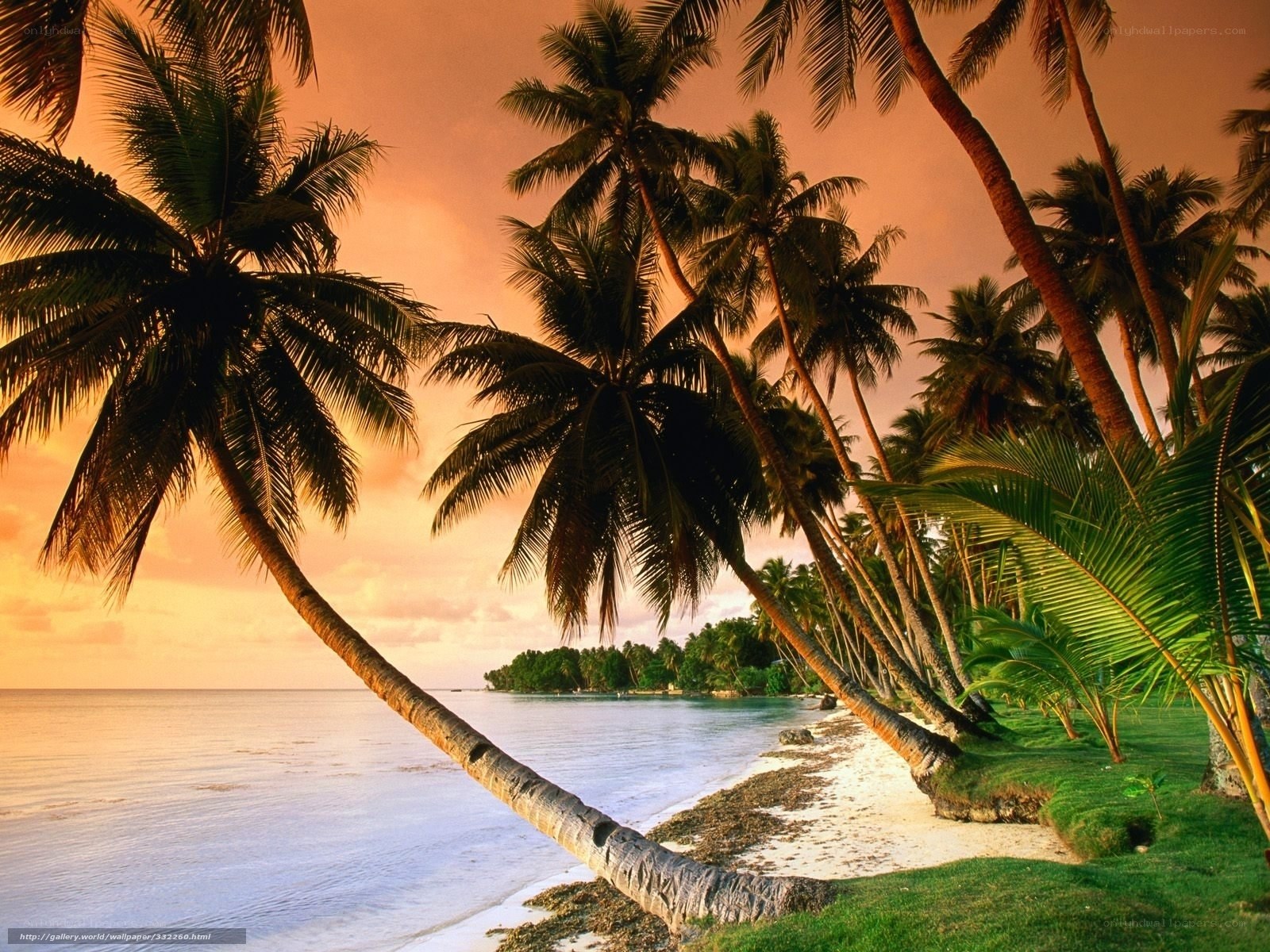tropical beach at sunset