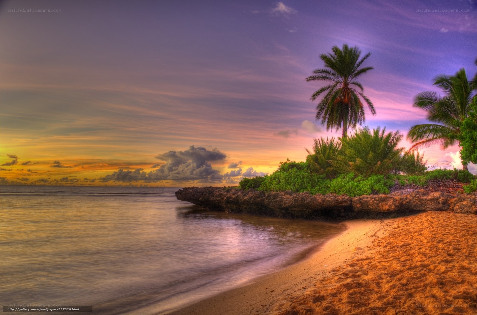 tropical beach at sunset