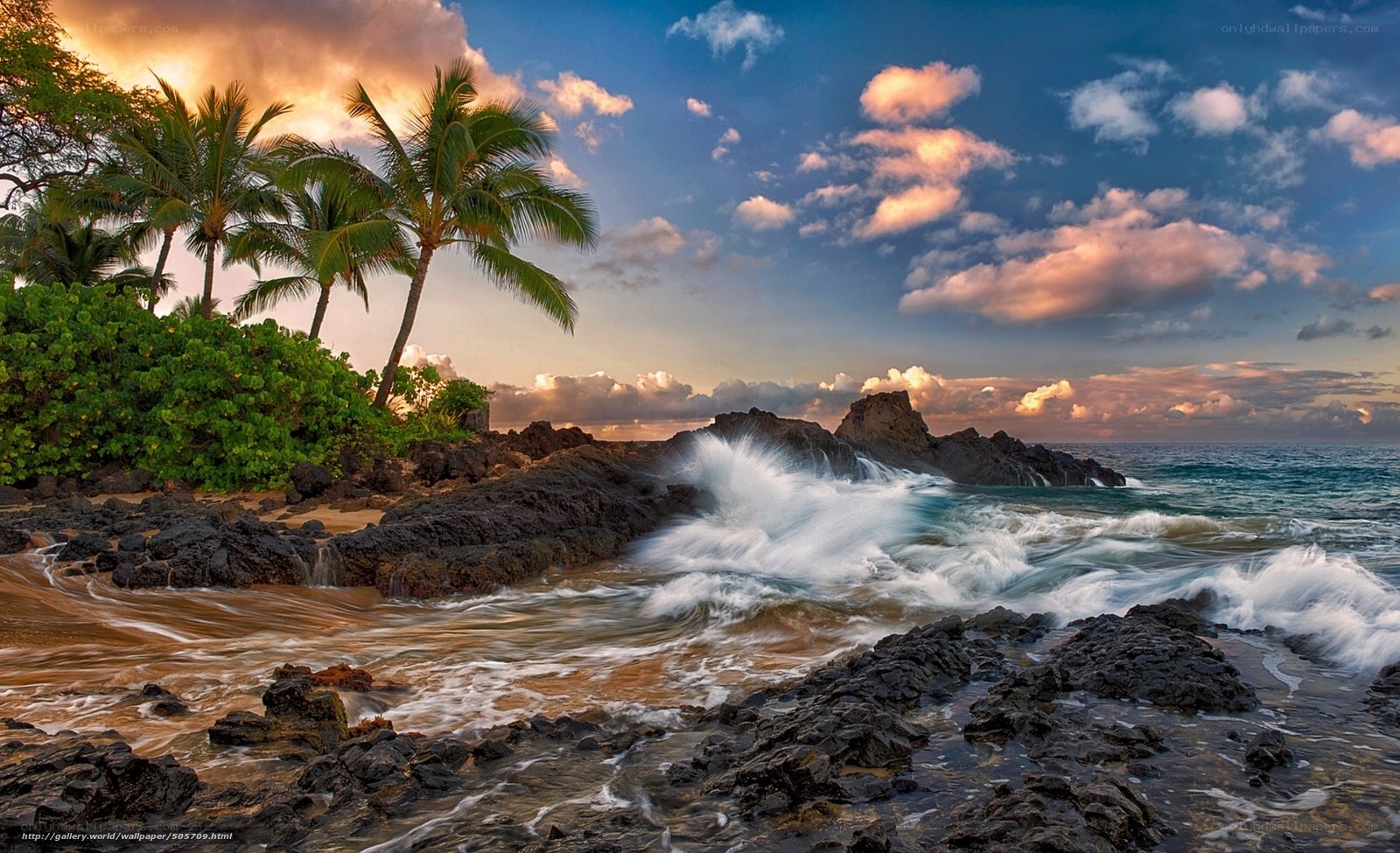 tropical beach at sunset
