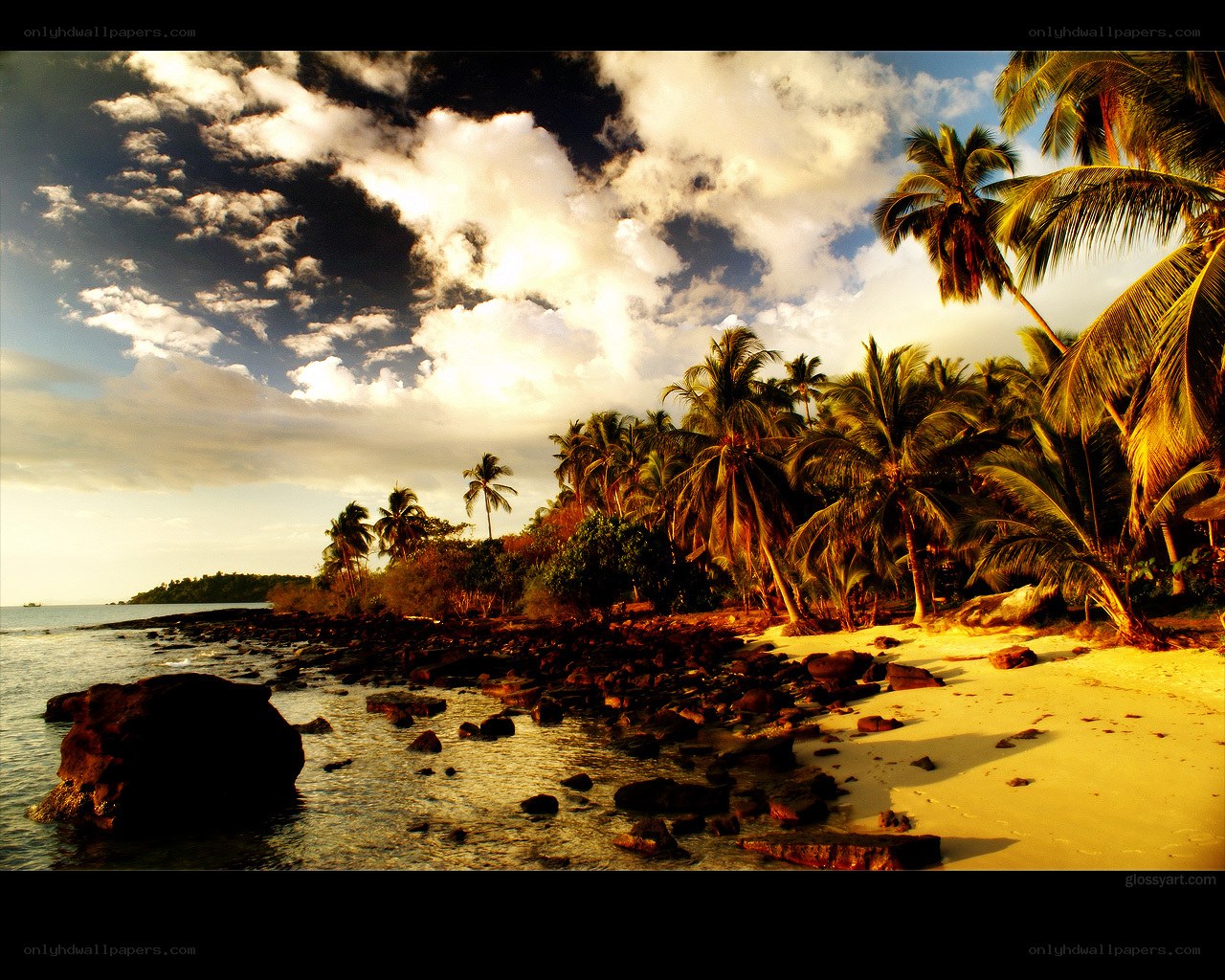 tropical beach at sunset
