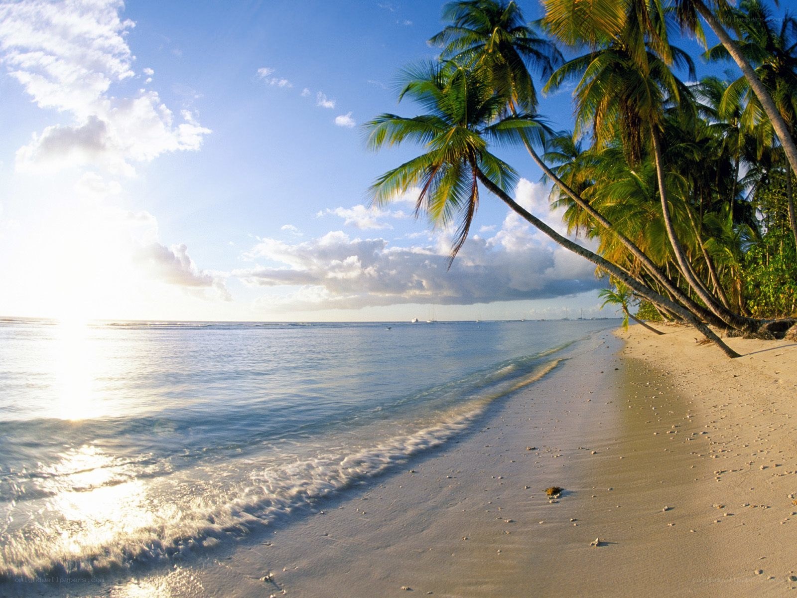 tropical beach at sunset