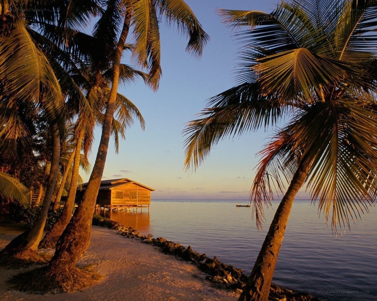 tropical beach at sunset