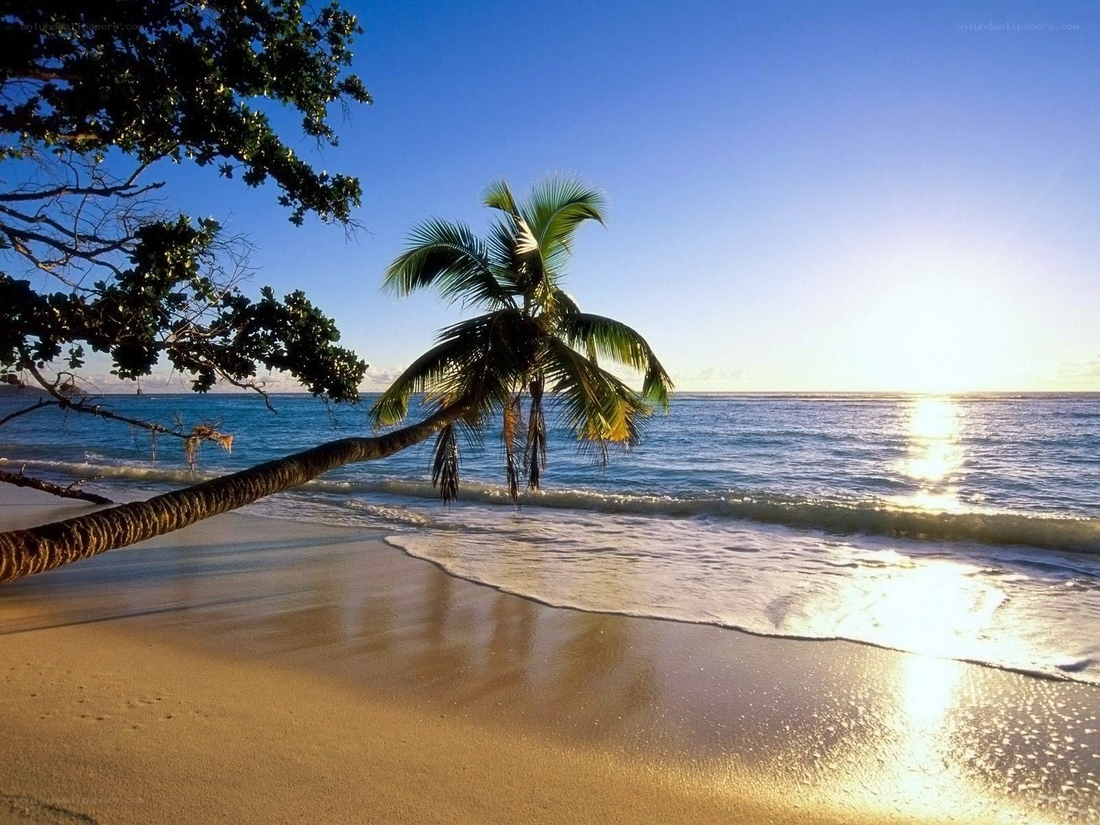 Tropical beach at sunset