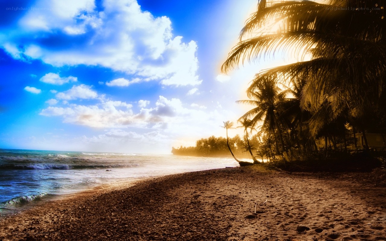 tropical beach at sunset