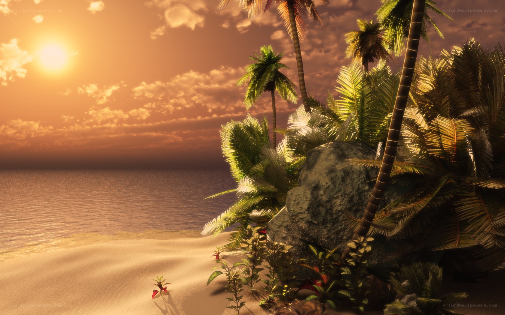 tropical beach at sunset