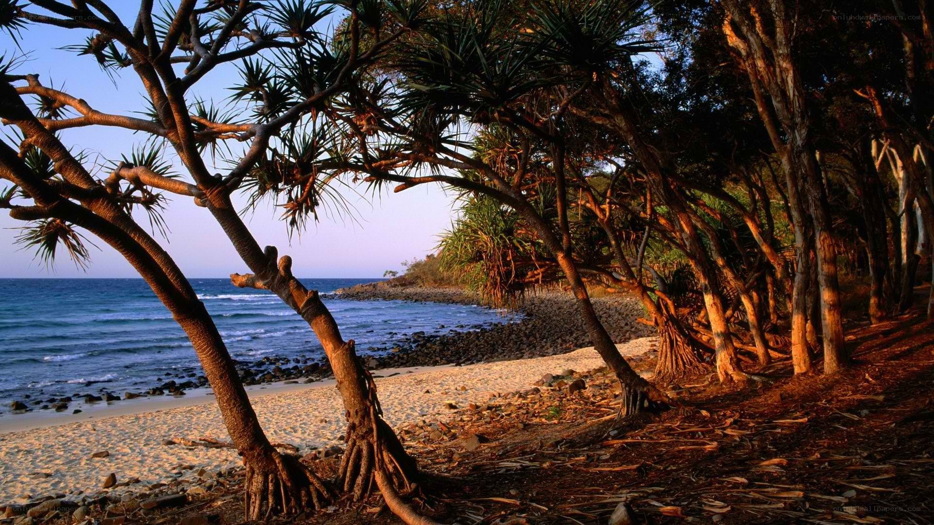 tropical beach at sunset