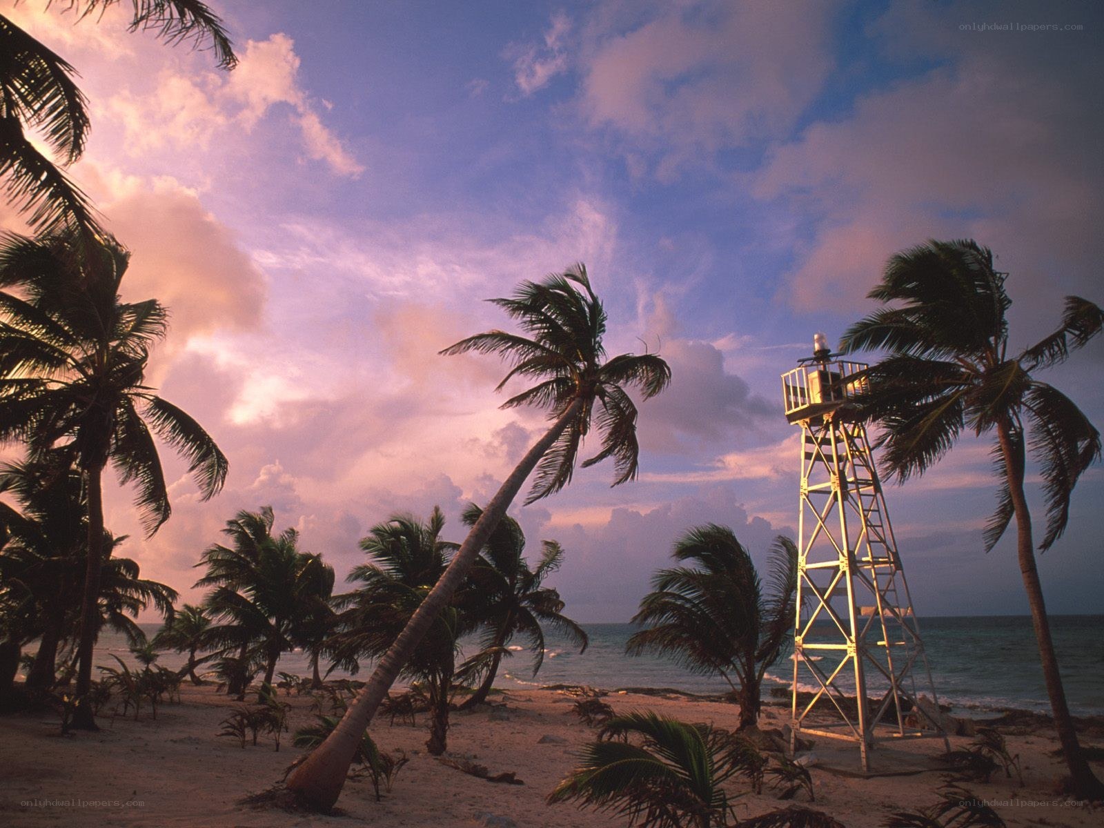 tropical beach at sunset