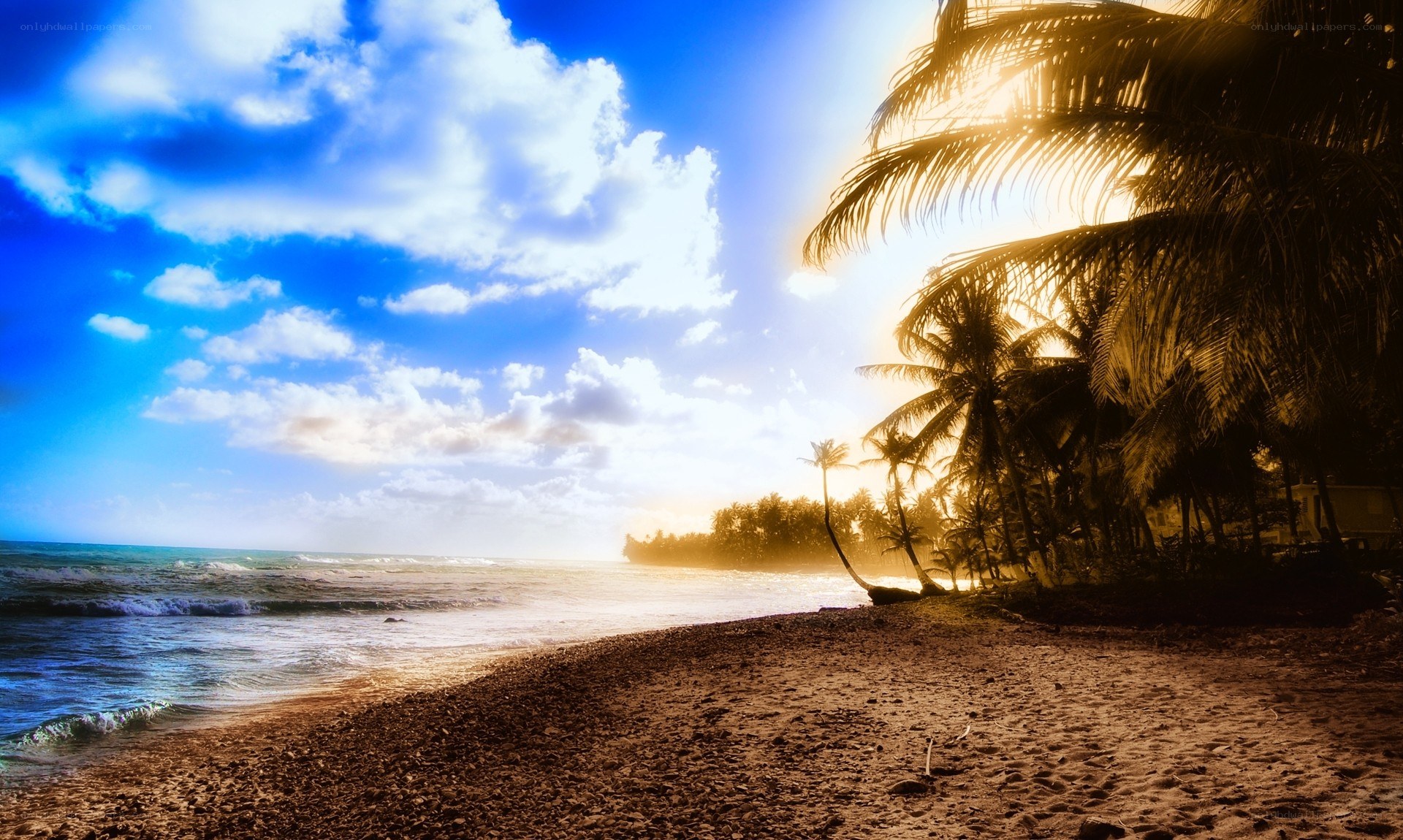 tropical beach at sunset