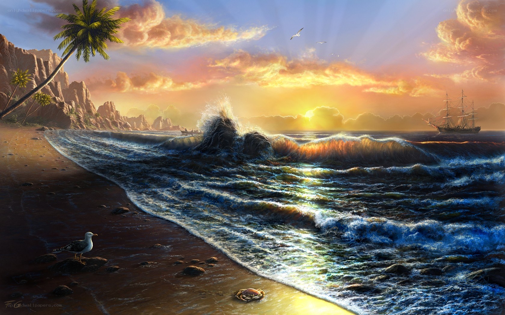 tropical beach at sunset