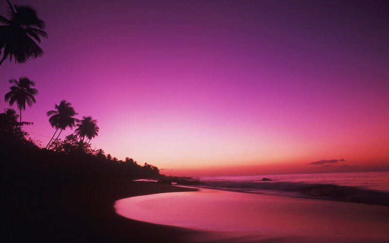 tropical beach at sunset