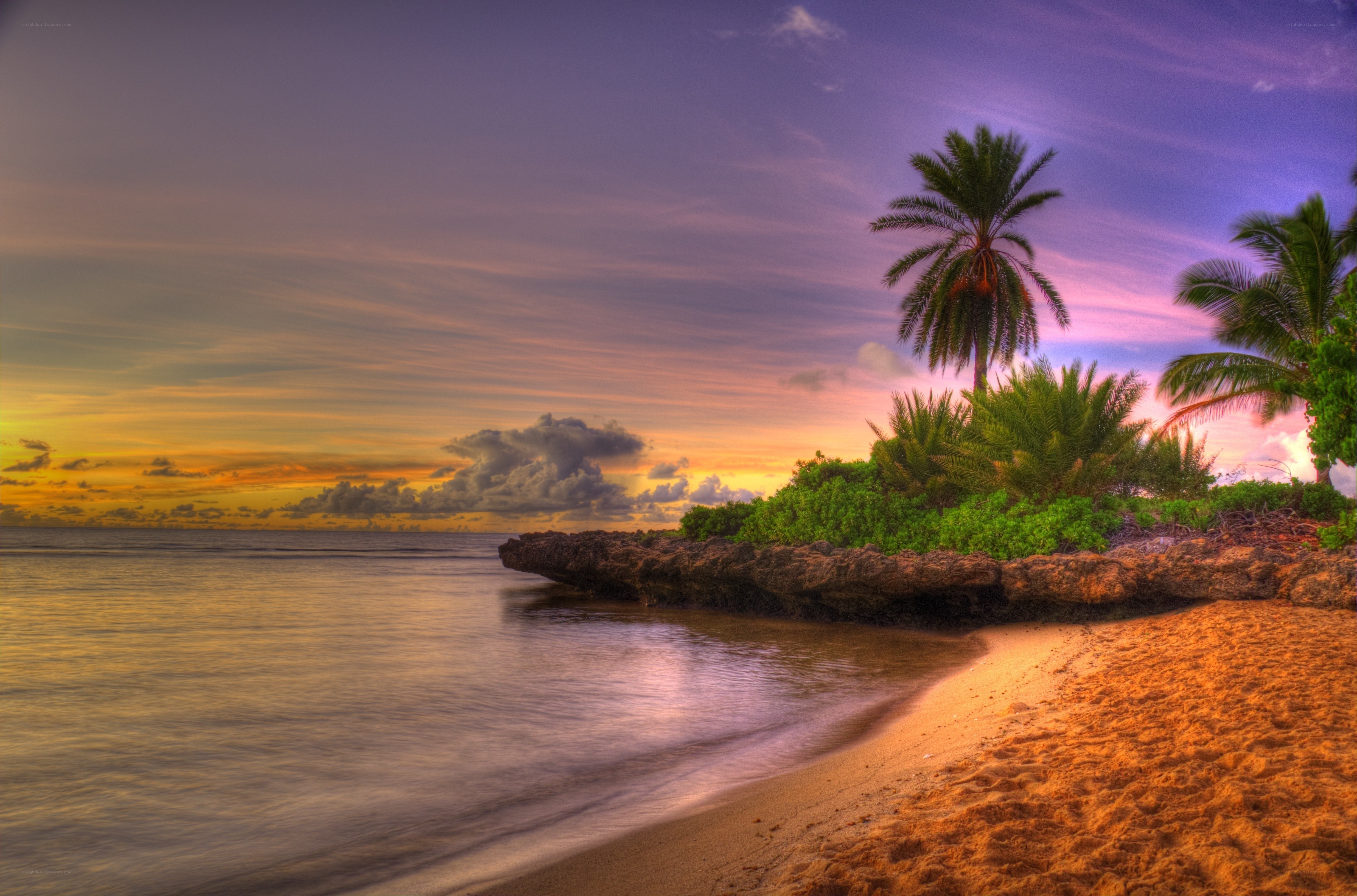 Tropical beach at sunset