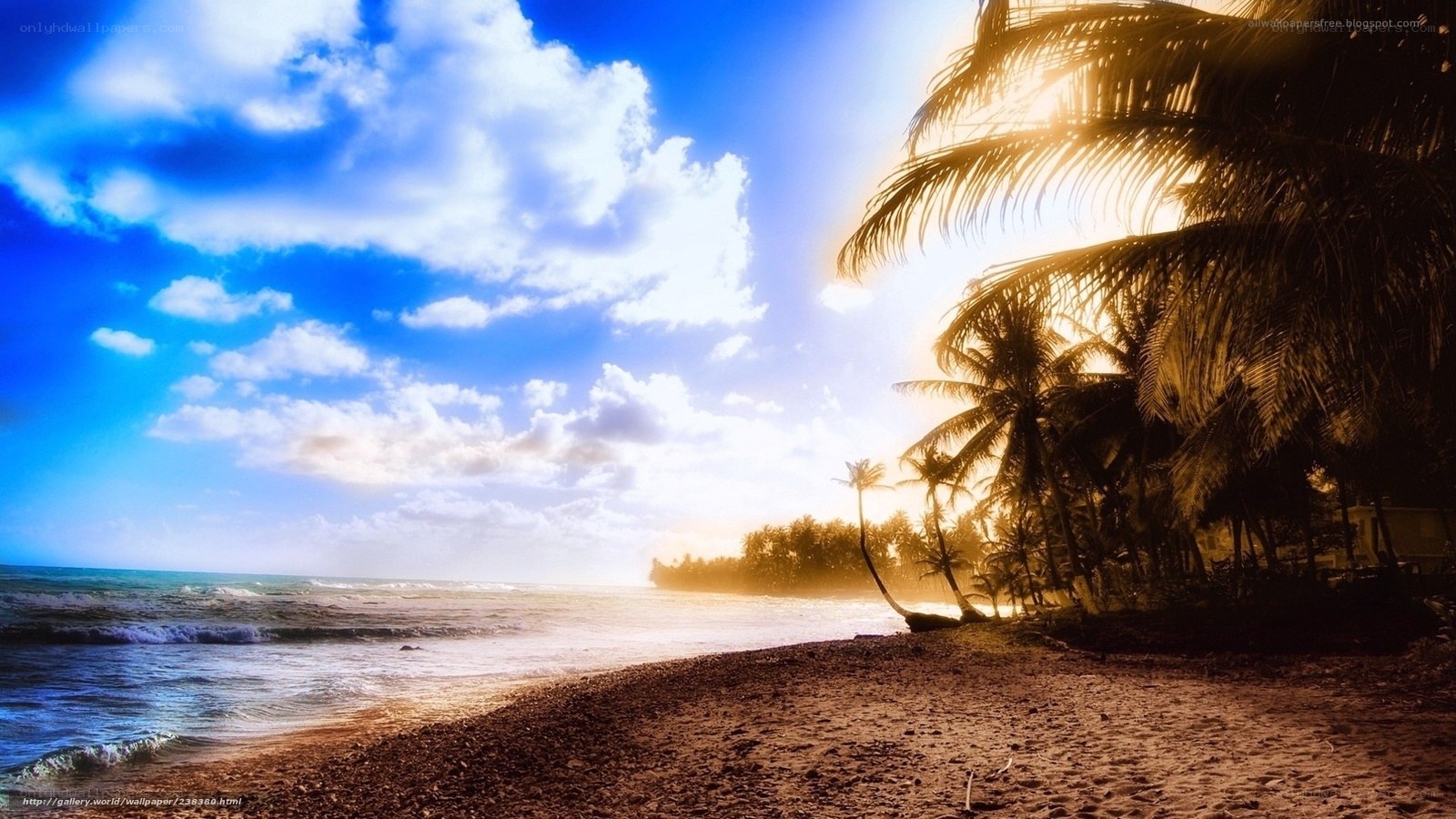 tropical beach at sunset