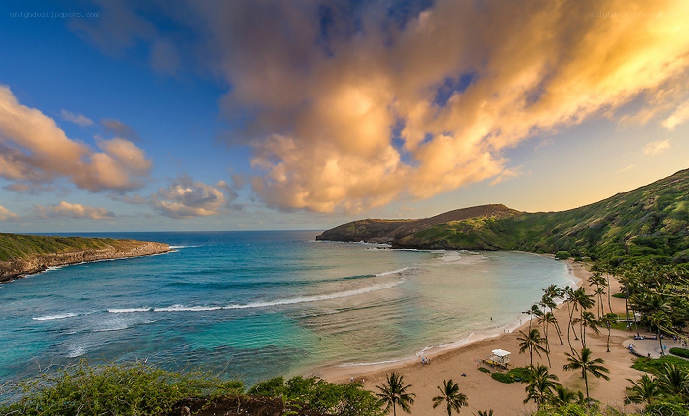 tropical beach at sunset