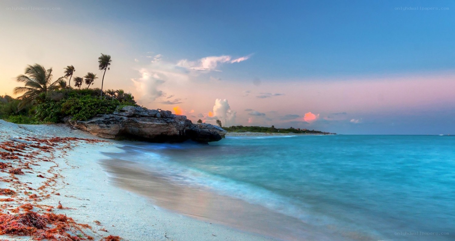 tropical beach at sunset