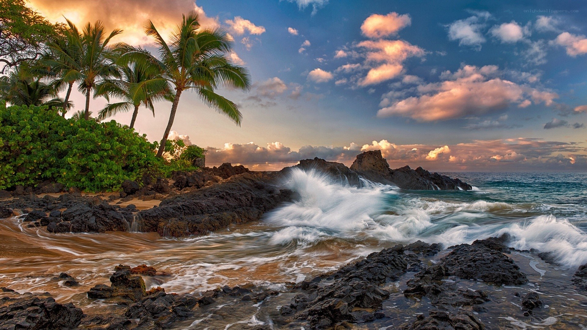 tropical beach at sunset