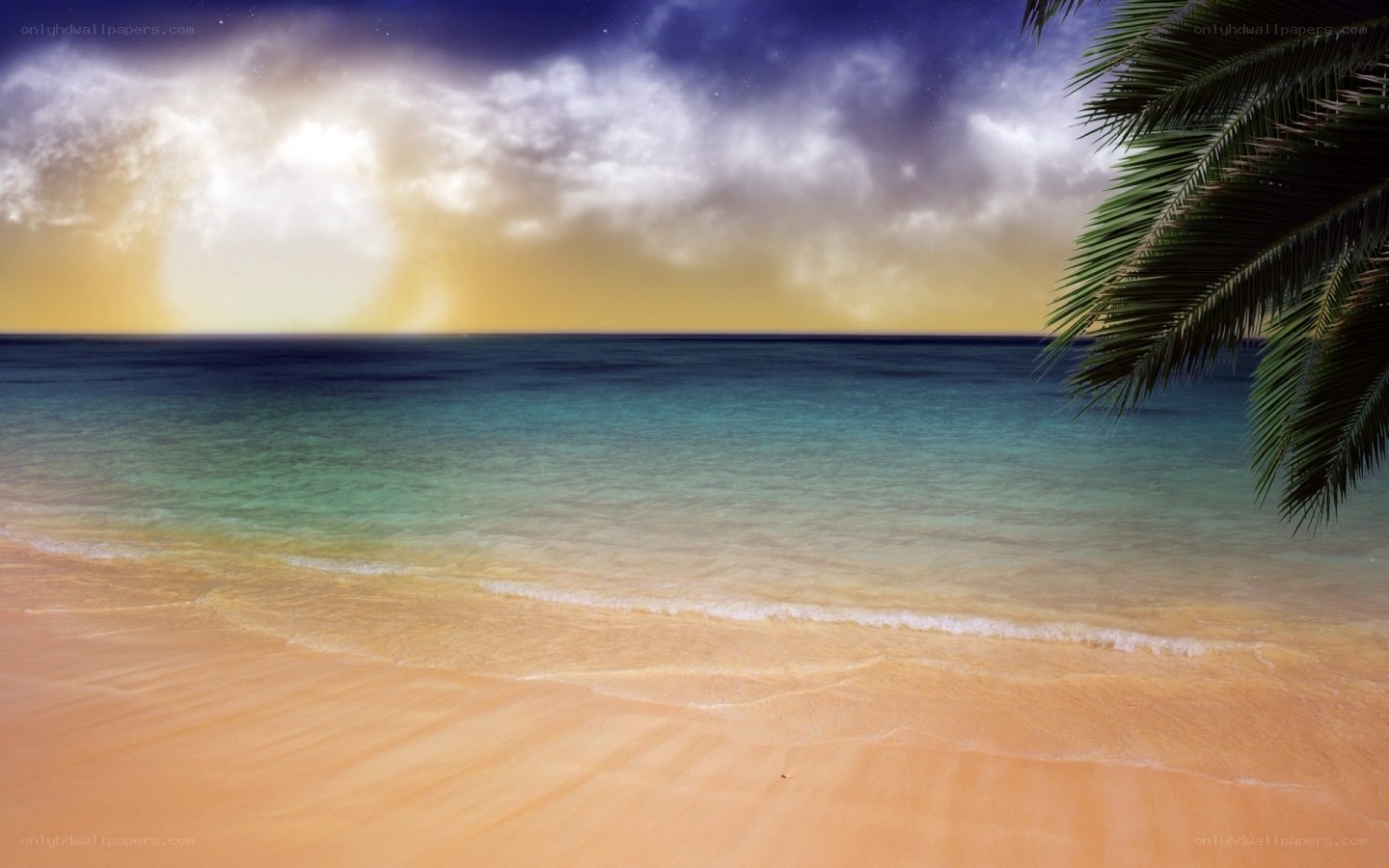 tropical beach at sunset