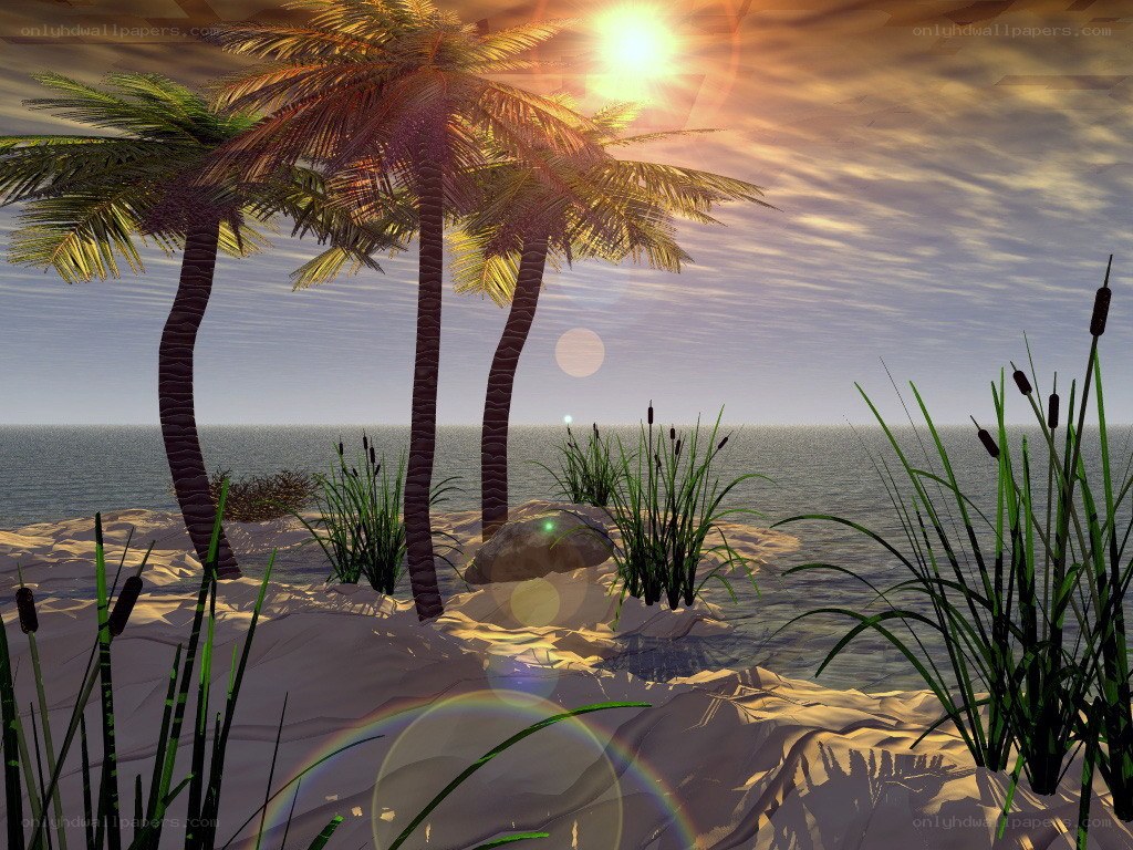 tropical beach at sunset