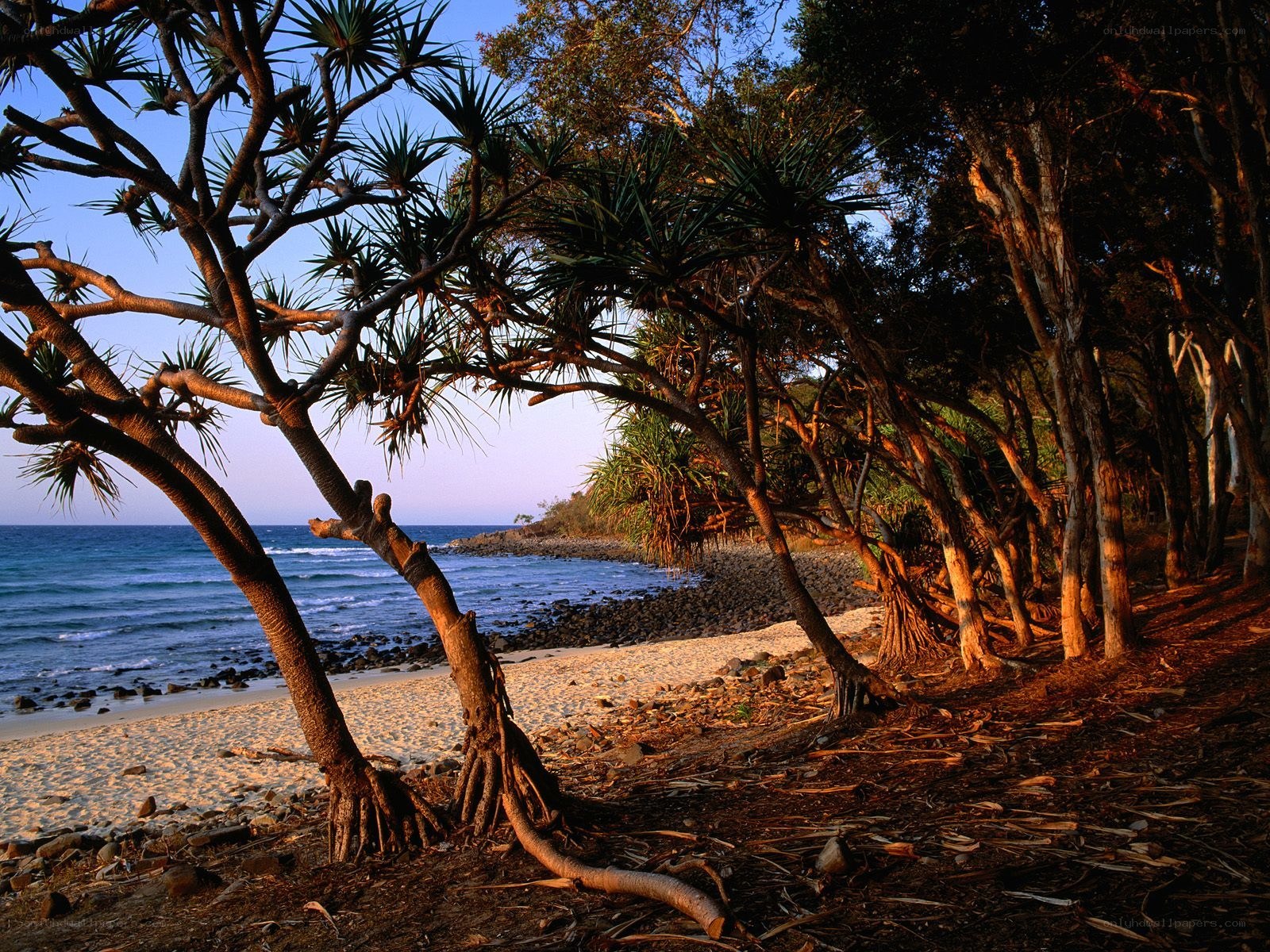 tropical beach at sunset