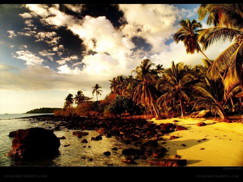 tropical beach at sunset