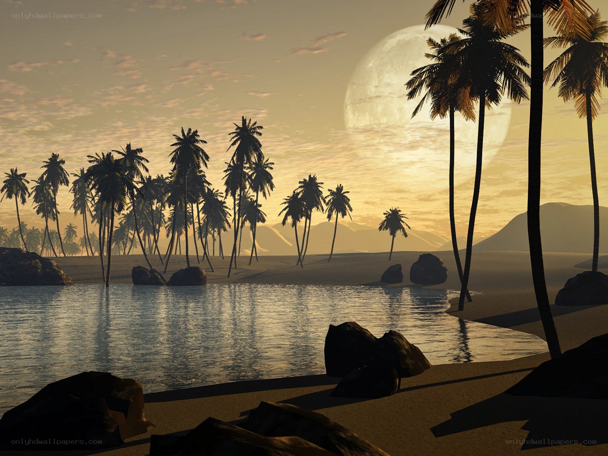 tropical beach at sunset