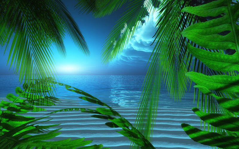 Tropical beach at sunset
