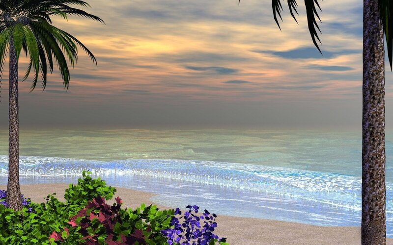 Tropical beach at sunset