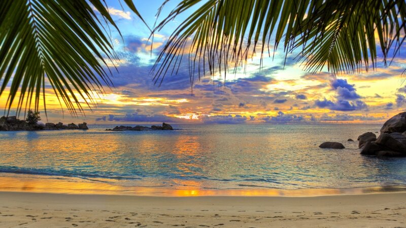 Tropical Beach at Sunset — Blue, Serene, Photograph, Palm Fronds