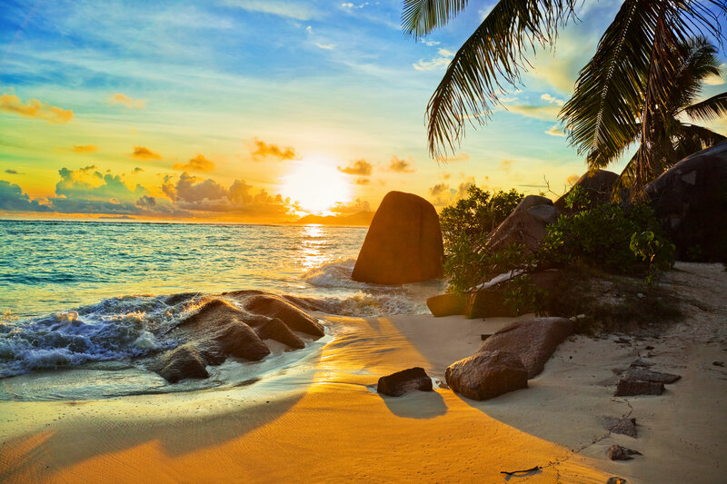 Tropical Beach at Sunset — Blue, Serene, Photograph, Palm Tree, Rocks, Ocean