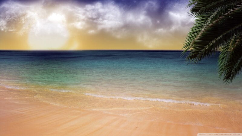 Tropical Beach at Sunset — Blue, Serene, Photograph, Palm Tree