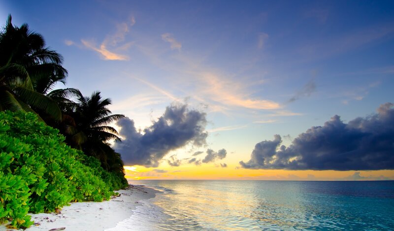 Tropical Beach at Sunset — Blue, Serene, Photograph, Palm Trees, Ocean, Clouds